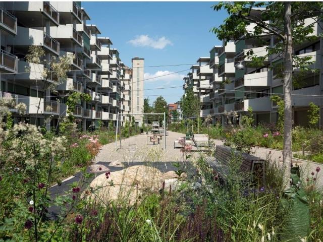 Rent a 4 ½ rooms apartment in Winterthur Flatfox