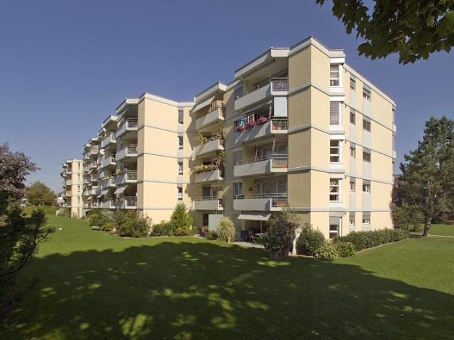 Rent a 4 ½ rooms apartment in Thun Flatfox