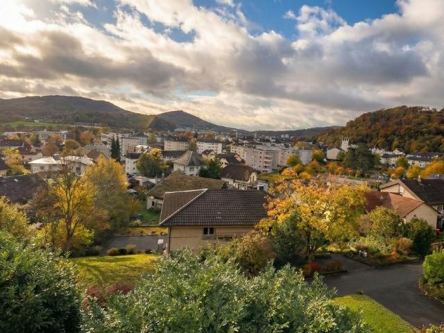 Rent a 4 ½ rooms apartment in Trimbach Flatfox