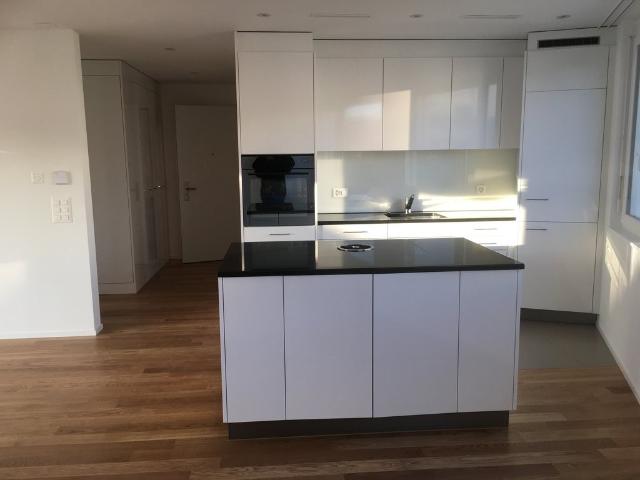 Rent a 4 ½ rooms apartment in Urdorf Flatfox