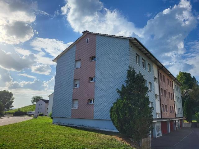 Rent a 4 rooms apartment in Uster Flatfox