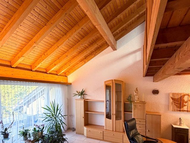 Rent a 4 ½ rooms apartment in Uster Flatfox