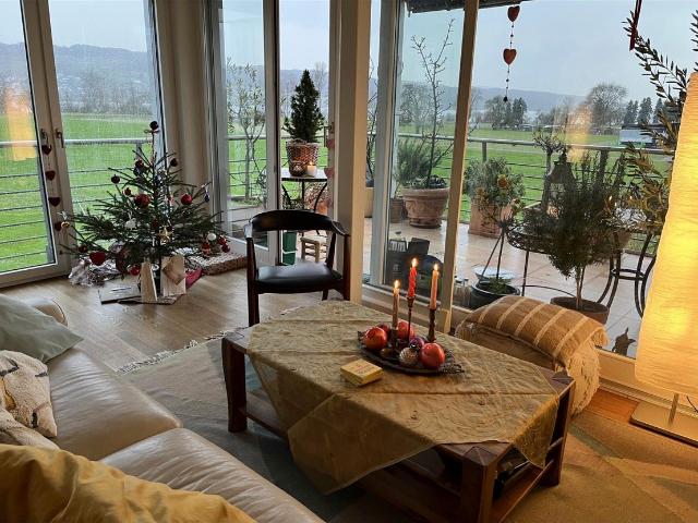 Rent a 4 ½ rooms apartment in Uster Flatfox