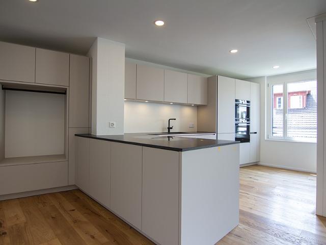 Rent a 4 ½ rooms apartment in Uster Flatfox