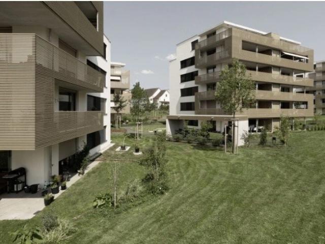 Rent a 4 ½ rooms apartment in Uster Flatfox
