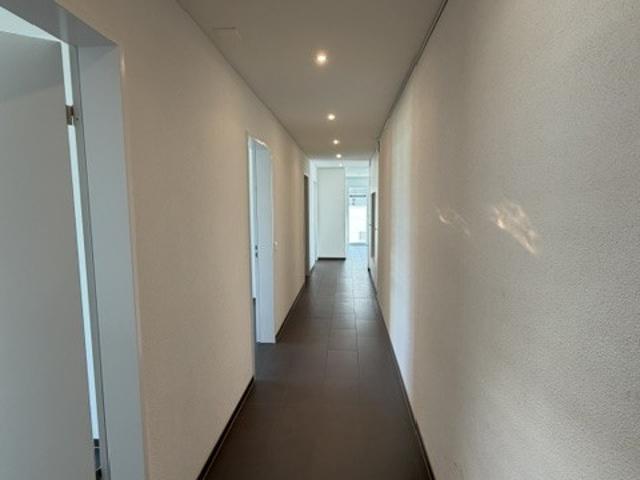 Rent a 4 ½ rooms apartment in Zofingen Flatfox