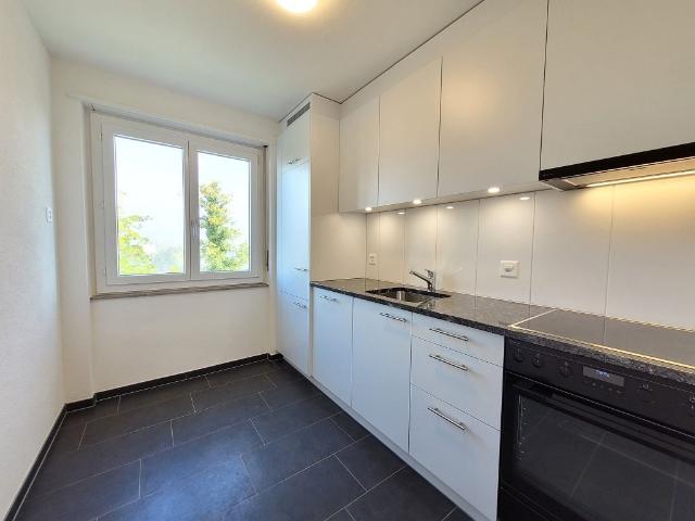 Rent a 4 rooms apartment in Zuchwil Flatfox