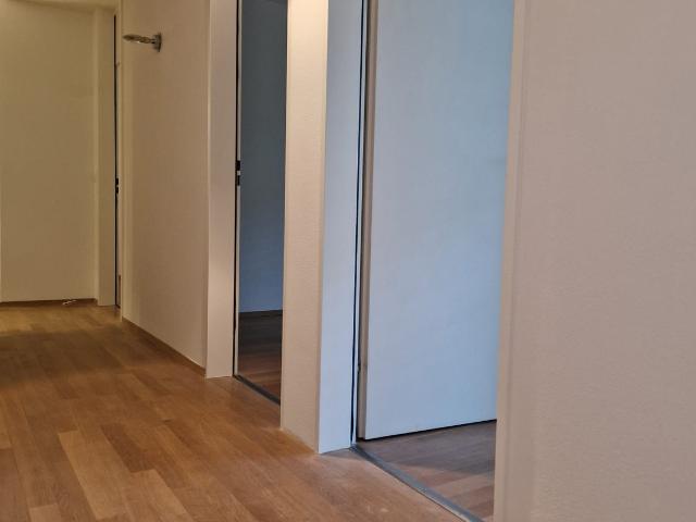 Rent a 4 ½ rooms apartment in Zug Flatfox