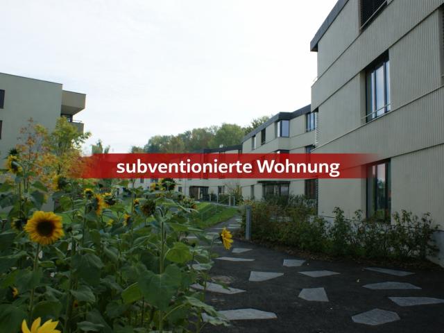 Rent a 4 ½ rooms apartment in Zürich Flatfox