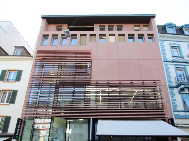 Rent a 4 ½ rooms attic flat in Basel Flatfox