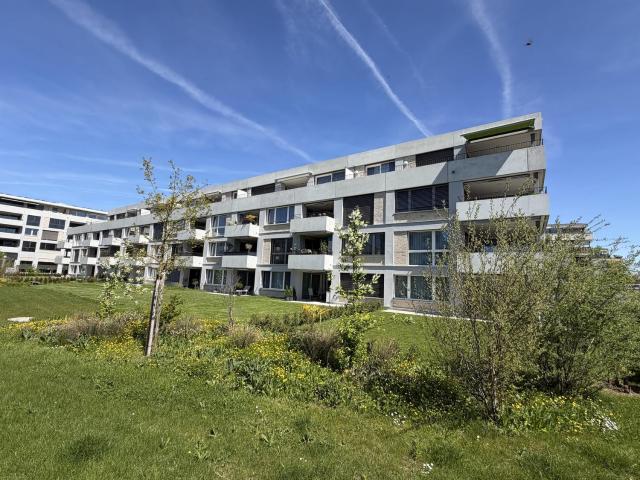Rent a 4 ½ rooms attic flat in Horn Flatfox