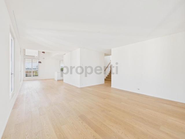 Rent a 4 ½ rooms attic flat in Reinach Flatfox