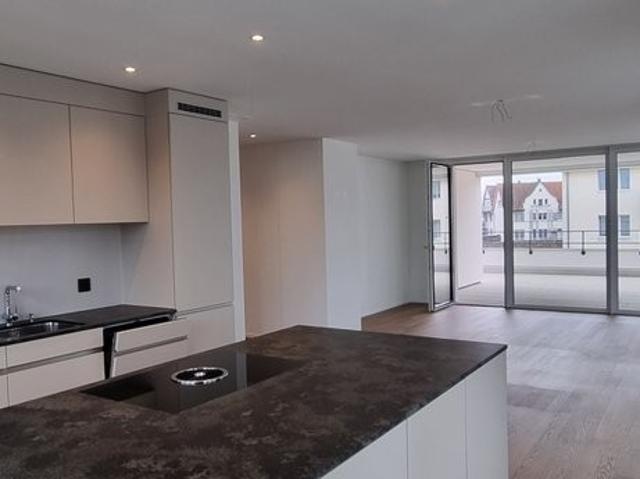 Rent a 4 ½ rooms attic flat in Romanshorn Flatfox