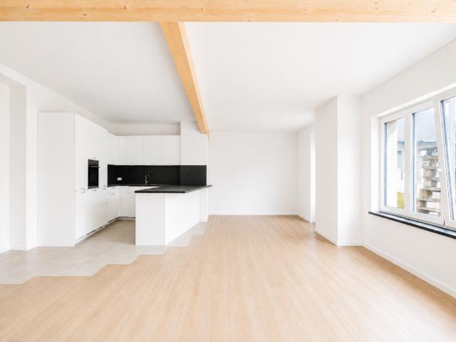 Rent a 4 ½ rooms attic flat in Seewen SO Flatfox
