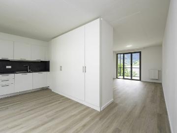 Rent a 4 ½ rooms duplex house in Biasca Flatfox