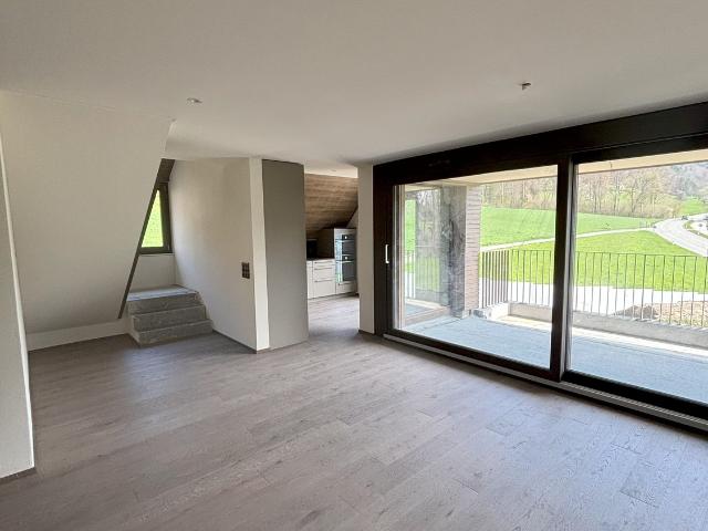 Rent a 4 ½ rooms duplex in Aeugstertal Flatfox