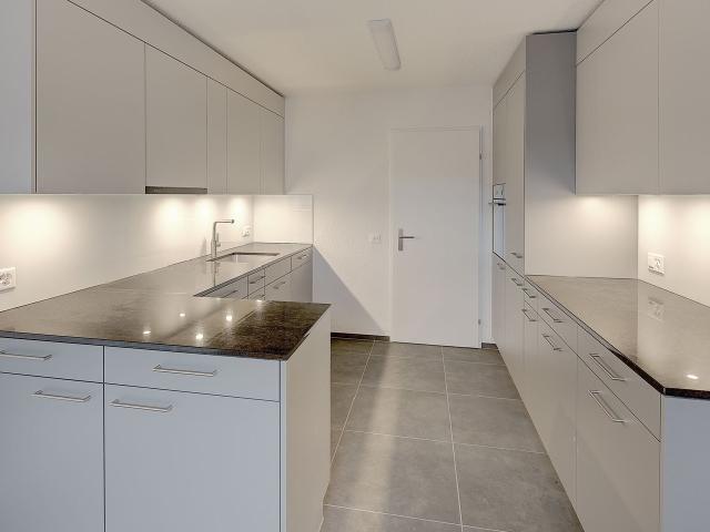 Rent a 4 ½ rooms duplex in Dättwil AG Flatfox