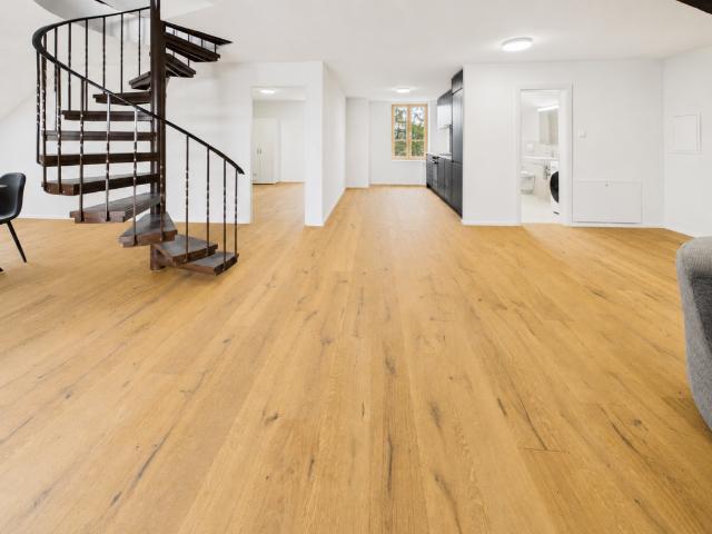 Rent a 4 ½ rooms duplex in Hofstetten SO Flatfox