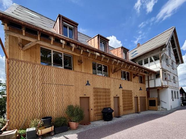 Rent a 4 ½ rooms duplex in Oetwil an der Limmat Flatfox