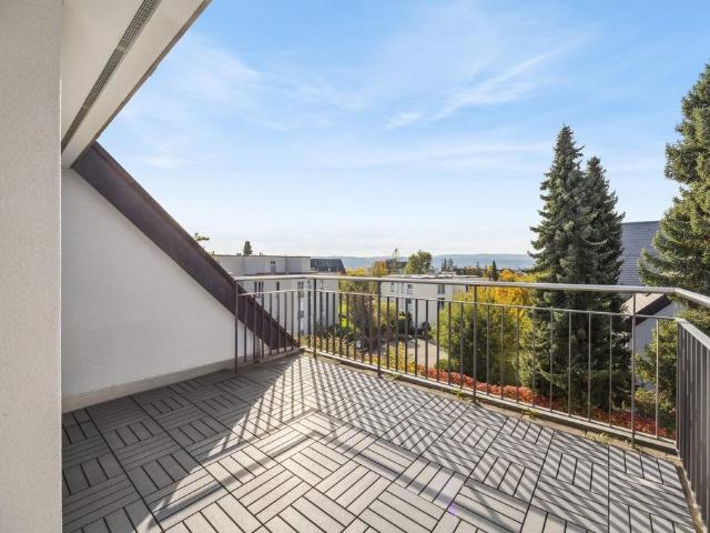 Rent a 4 rooms duplex in Uetikon am See Flatfox
