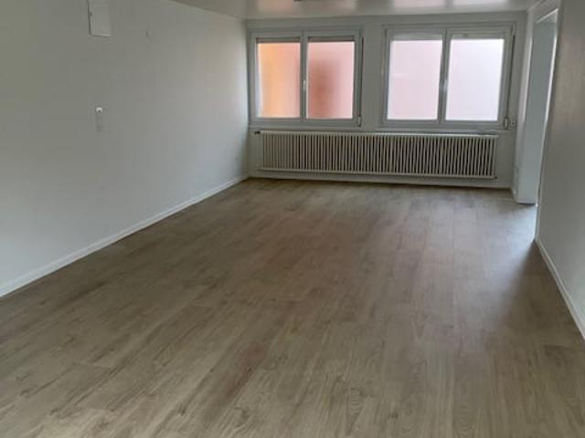 Rent a 4 rooms duplex in Vully les Lacs Flatfox
