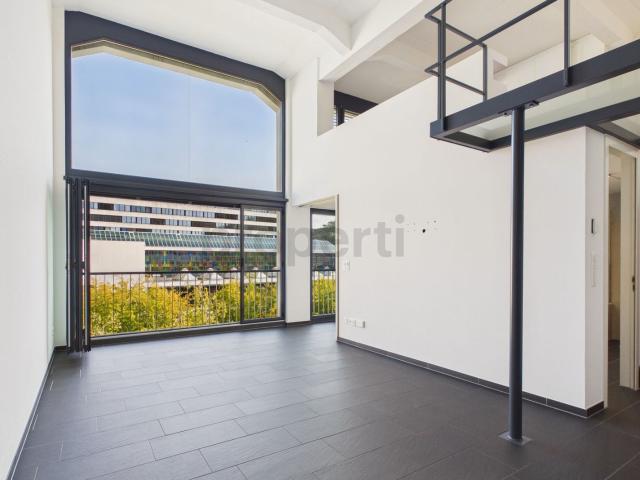 Rent a 4 ½ rooms loft in Baden Flatfox