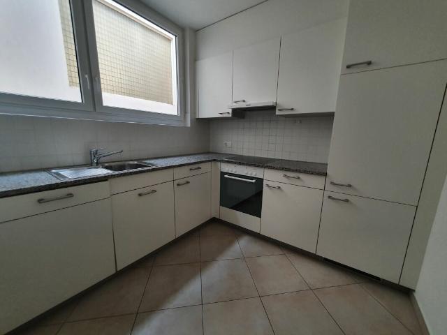 Rent a 4 ½ rooms multi family house in Lugano Flatfox