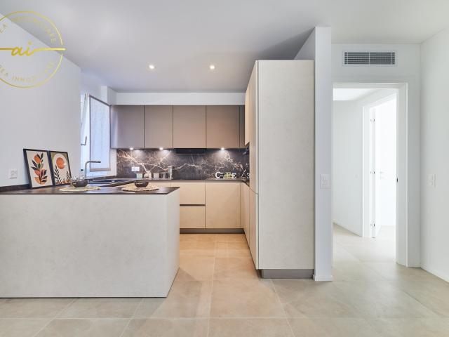 Rent a 4 ½ rooms roof flat in Balerna Flatfox