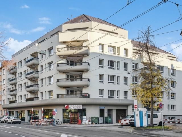 Rent a 4 ½ rooms roof flat in Basel Flatfox