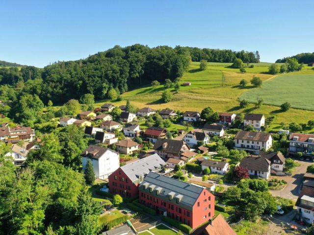 Rent a 4 ½ rooms roof flat in Gebenstorf Flatfox