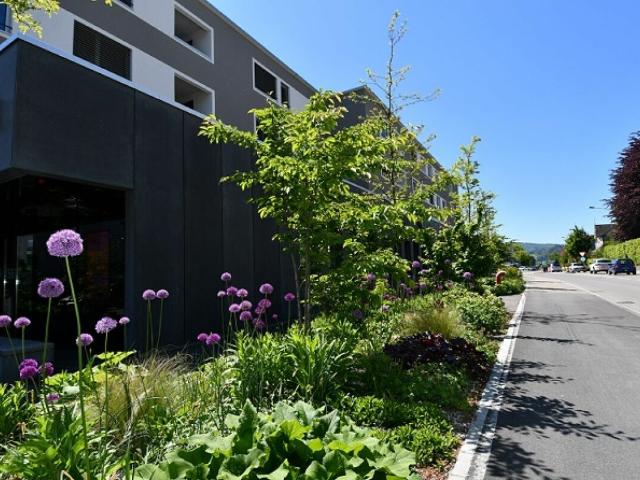 Rent a 4 ½ rooms roof flat in Eschlikon TG Flatfox