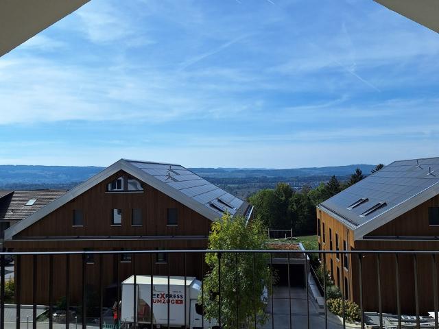 Rent a 4 ½ rooms roof flat in Oberwil Lieli Flatfox