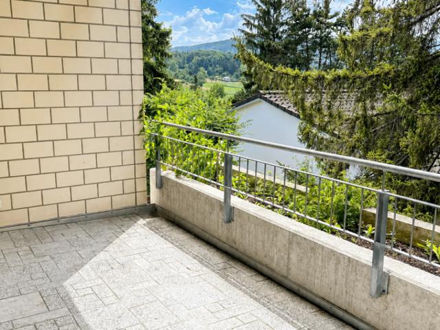 Rent a 3 ½ rooms roof flat in Reinach BL Flatfox