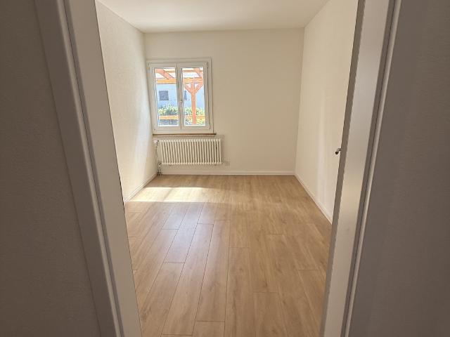 Rent a 4 ½ rooms single house in Langnau am Albis Flatfox