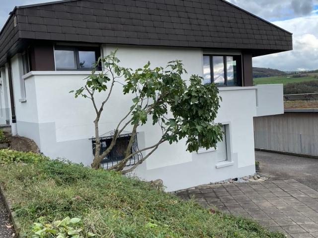 Rent a 4 rooms single house in Nenzlingen Flatfox