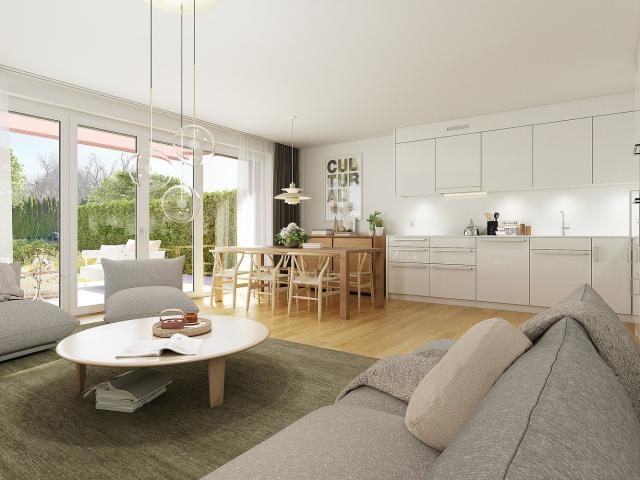 Rent a 4 ½ rooms single house in Niederlenz Flatfox