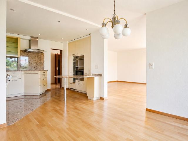 Rent a 4 ½ rooms single house in Rudolfstetten Friedlisberg Flatfox