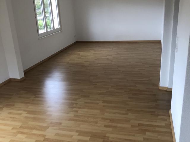 Rent a 4 ½ rooms single house in Widen Flatfox