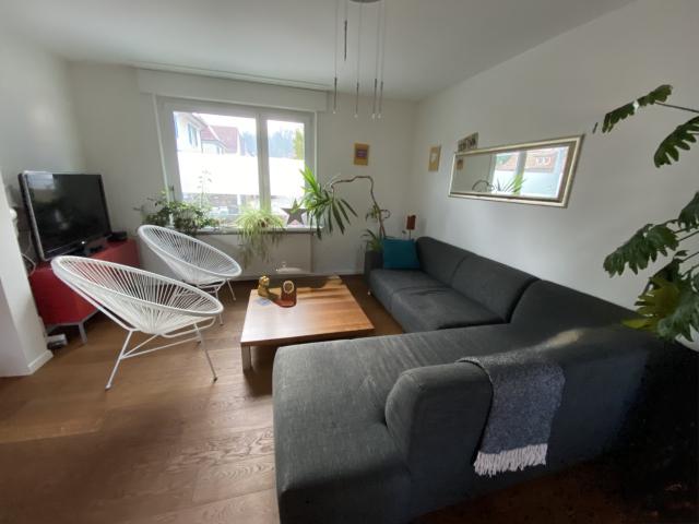 Rent a 4 ½ rooms single house in Winterthur Flatfox