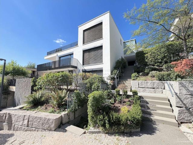Rent a 5 ½ rooms terrace flat in Forch Flatfox