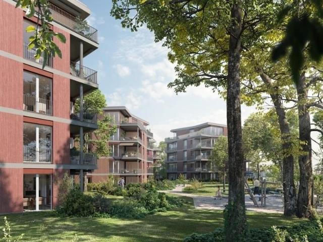 Rent a 5 ½ rooms apartment in Amriswil Flatfox