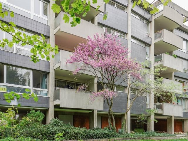 Rent a 5 rooms apartment in Basel Flatfox