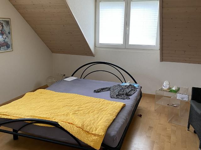 Rent a 5 ½ rooms apartment in Buchs Flatfox