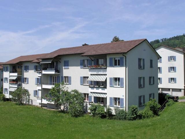 Rent a 5 rooms apartment in Oberengstringen Flatfox