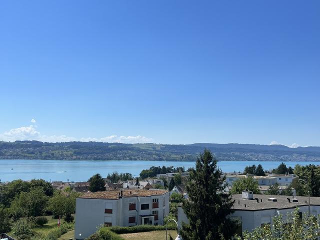 Rent a 5 rooms apartment in Männedorf Flatfox