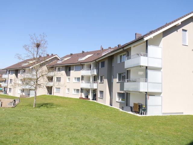 Rent a 5 ½ rooms apartment in Safenwil Flatfox