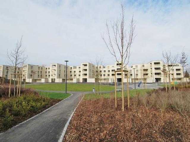 Rent a 5 ½ rooms apartment in Staufen Flatfox