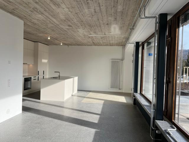 Rent a 5 ½ rooms apartment in Riehen Flatfox