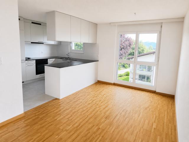 Rent a 5 ½ rooms apartment in Thal Flatfox