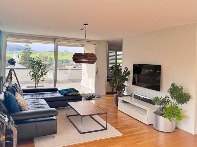 Rent a 5 ½ rooms apartment in Zeihen